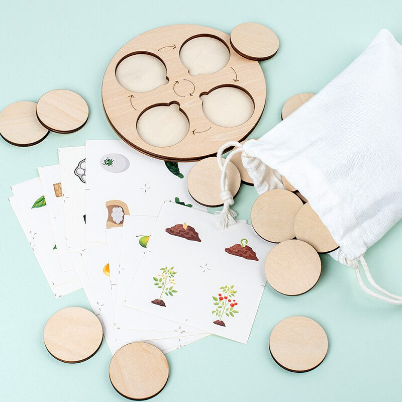 Pädagogisches Holzpuzzle – Den Lebenszyklus spielerisch entdecken