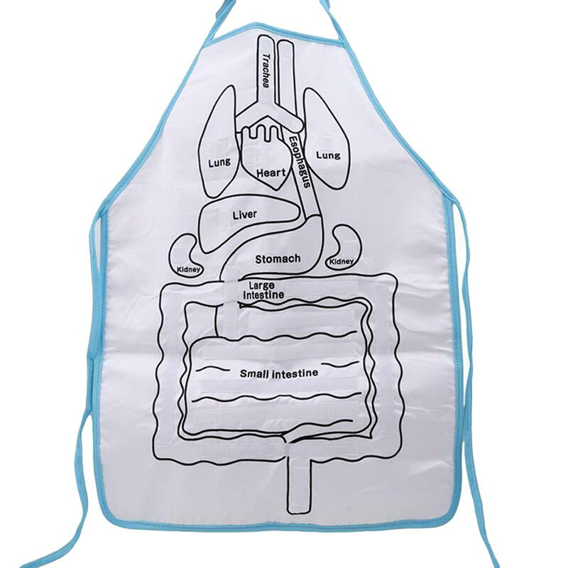 Anatomie-Lernschürze – Entdecke die menschlichen Organe spielerisch