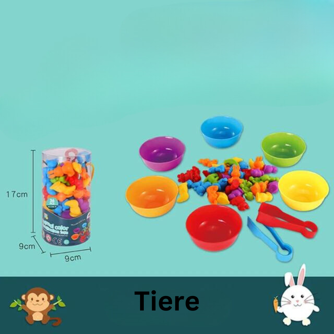 Montessori Lernspielzeug – Buntes Sortierspiel für Kinder