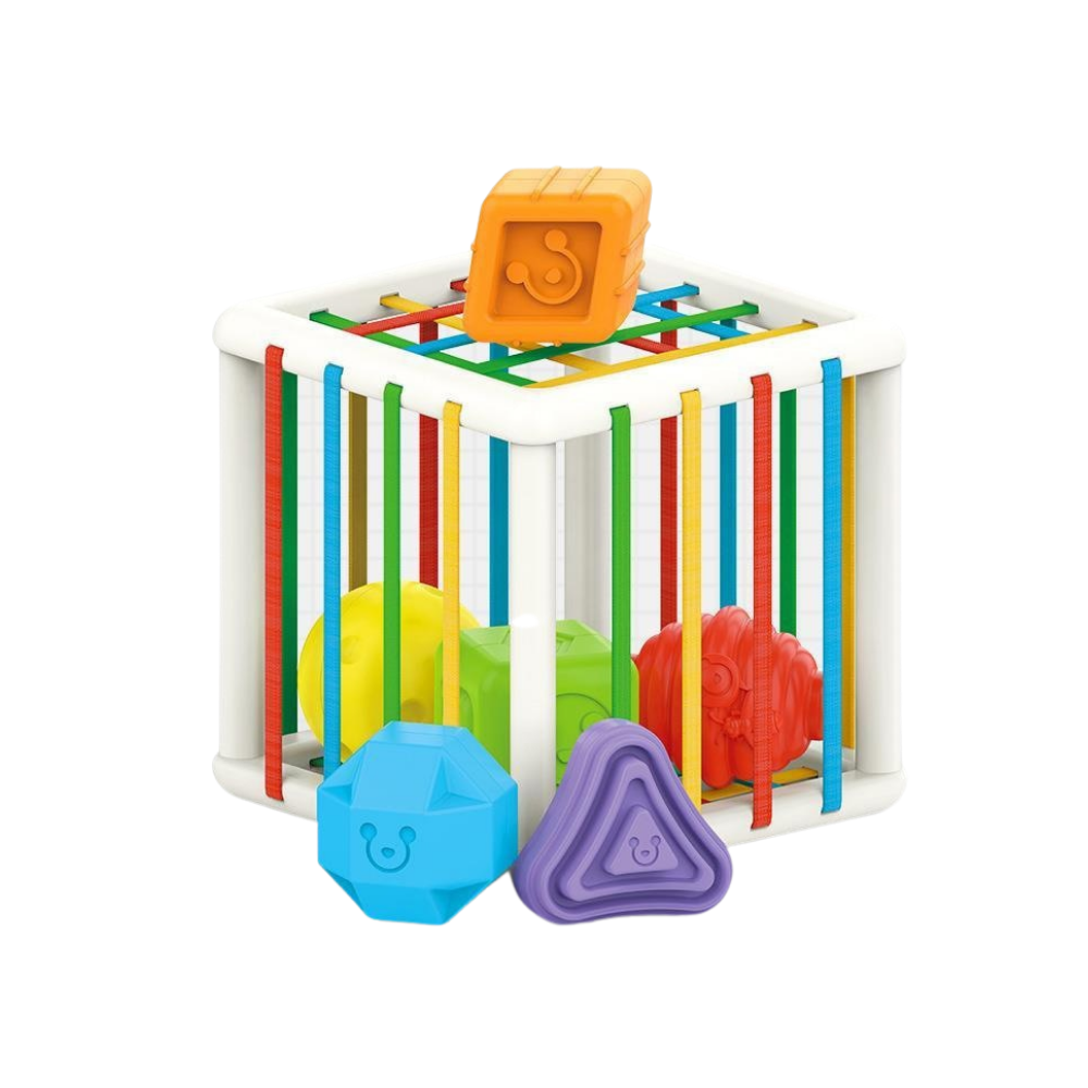 Lernspielzeug Sortierwürfel für Kinder