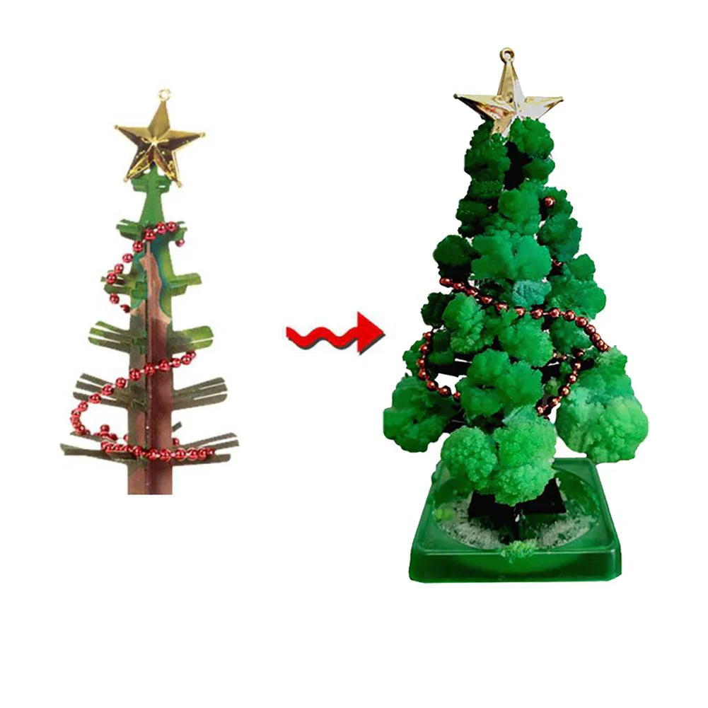 Magische Weihnachtsfreude – DIY Weihnachtsbaum-Wachstumsset (1+1 GRATIS)