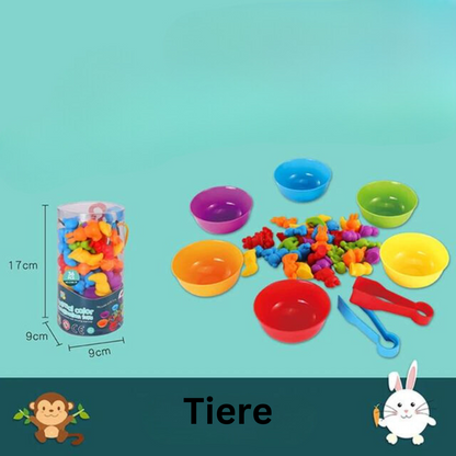 Montessori Lernspielzeug – Buntes Sortierspiel für Kinder