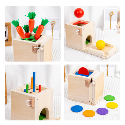 5in1 Montessori Lernspielzeug Set aus Holz