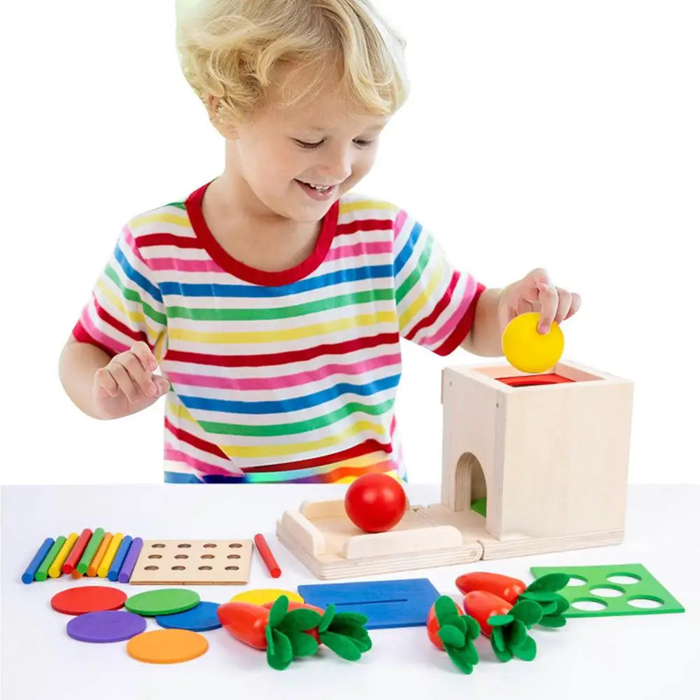 5in1 Montessori Lernspielzeug Set aus Holz