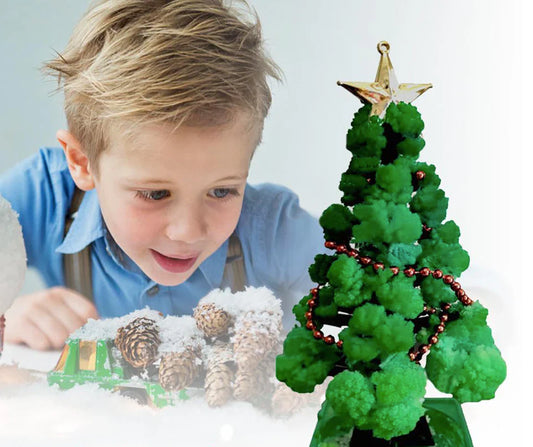 Magische Weihnachtsfreude – DIY Weihnachtsbaum-Wachstumsset (1+1 GRATIS)