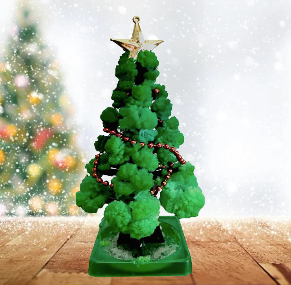 Magische Weihnachtsfreude – DIY Weihnachtsbaum-Wachstumsset (1+1 GRATIS)