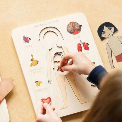 Holzpuzzle Anatomie – Entdecke den menschlichen Körper