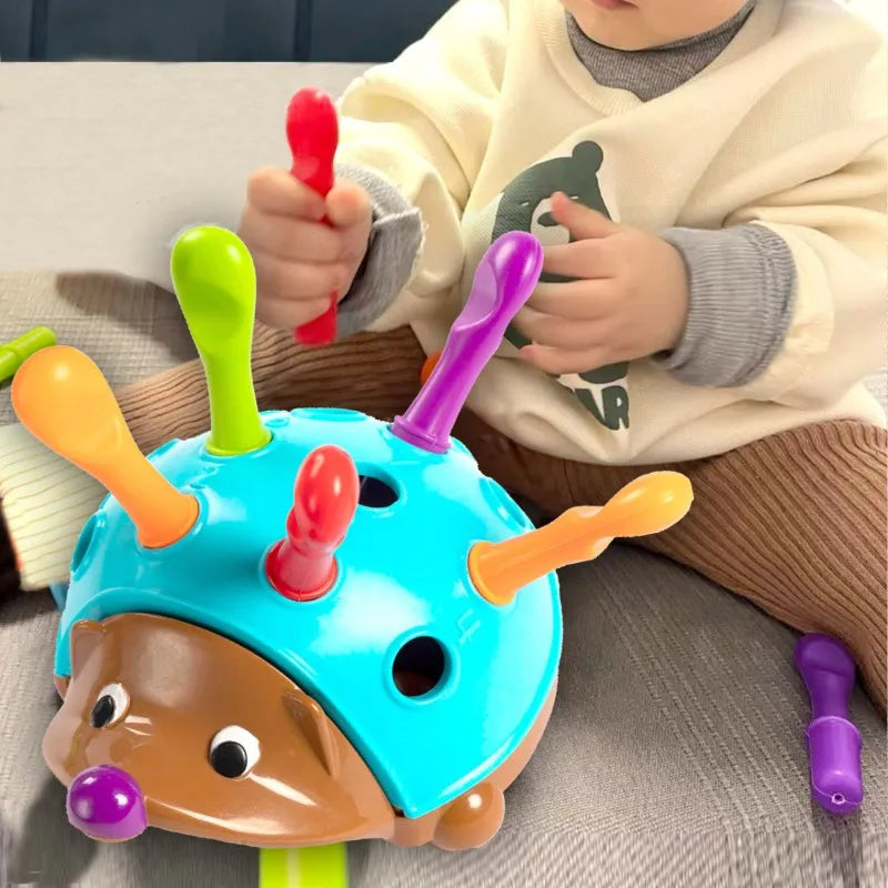 Lern-Igel Spielzeug – Fördert Feinmotorik und Sensorik für Kinder