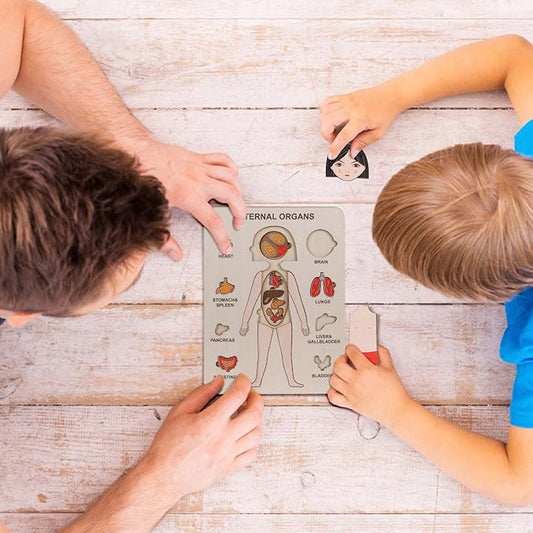 Holzpuzzle Anatomie – Entdecke den menschlichen Körper
